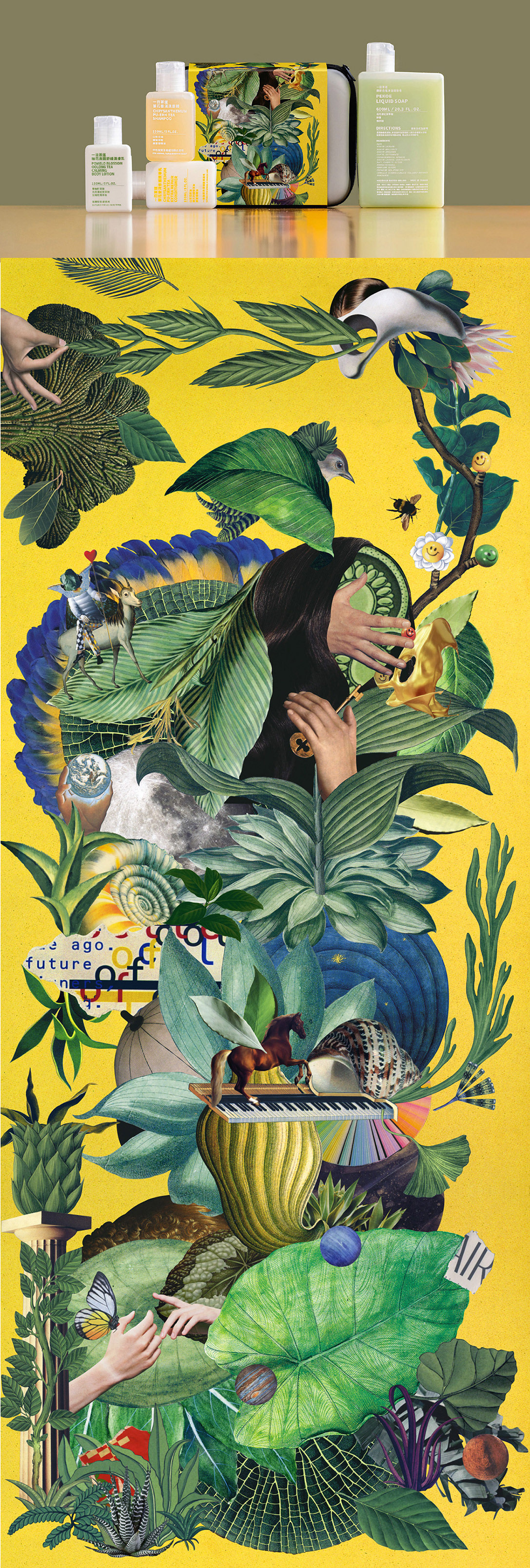 collage cover ILLUSTRATION  package Plant Project visual