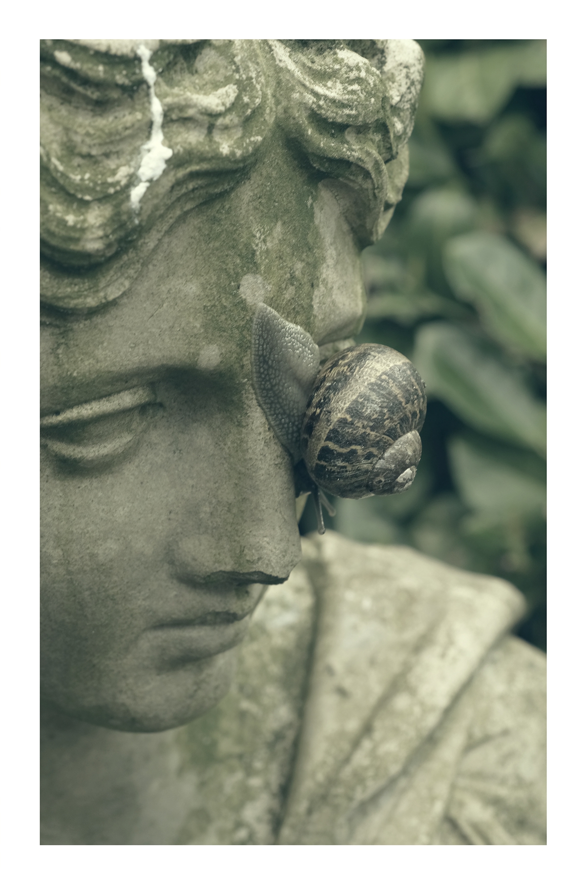 snails statue backyard macro