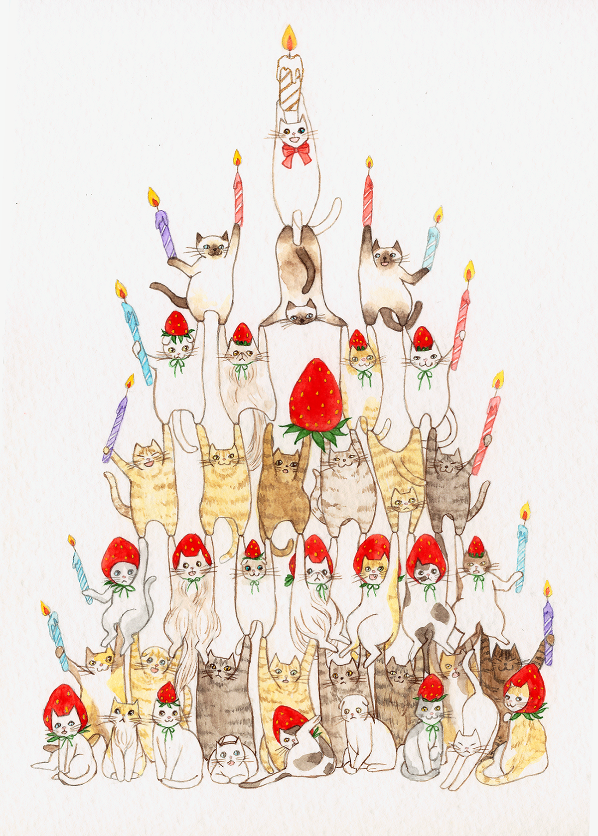 Cat strawberrycake Christmas Birthday