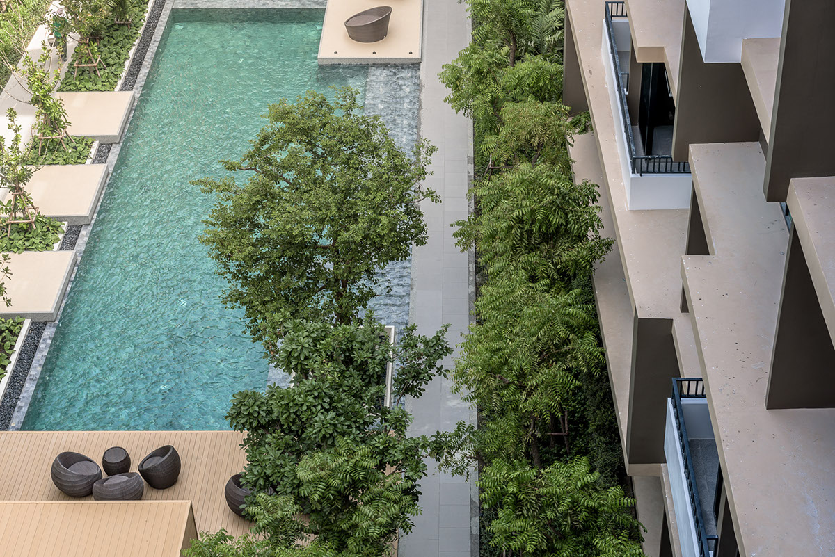 Adobe Portfolio Green Courtyard Design Landscape Pool