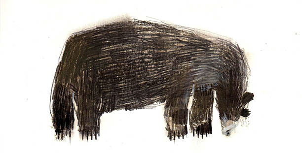bear oso sketch