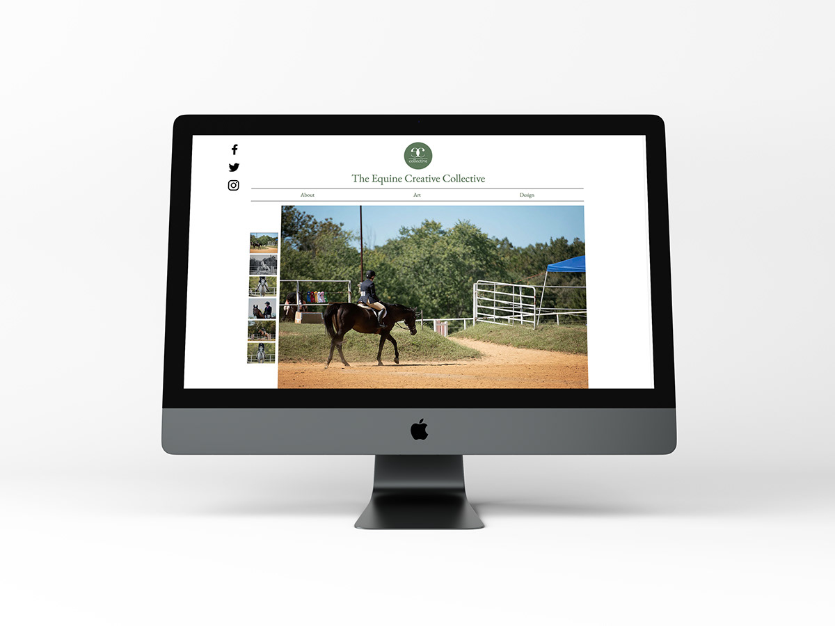 Multimedia  design Web Design  branding  horses equestrian