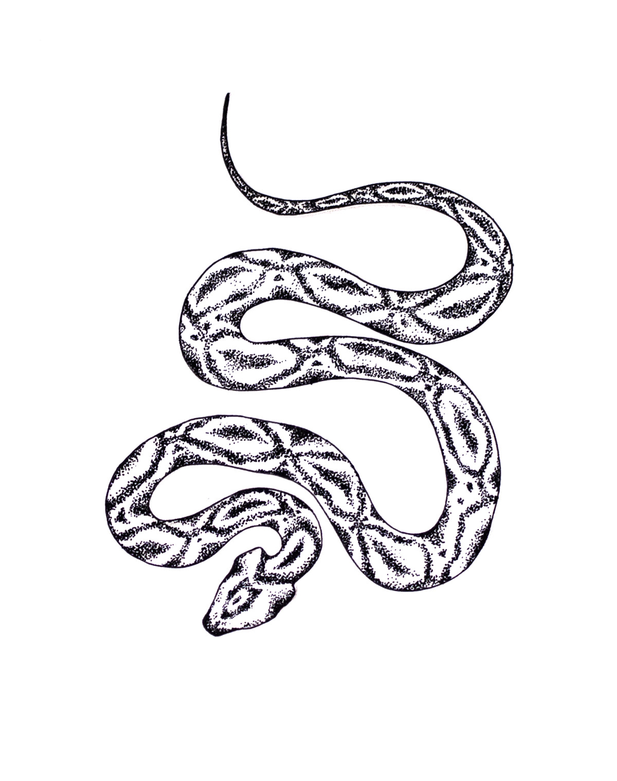 dotwork snake tattoodesign  