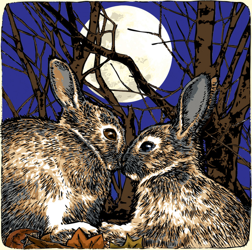 rabbits pen and ink full moon  branches autumn moon bunnies logan rogers  rabbits drawing