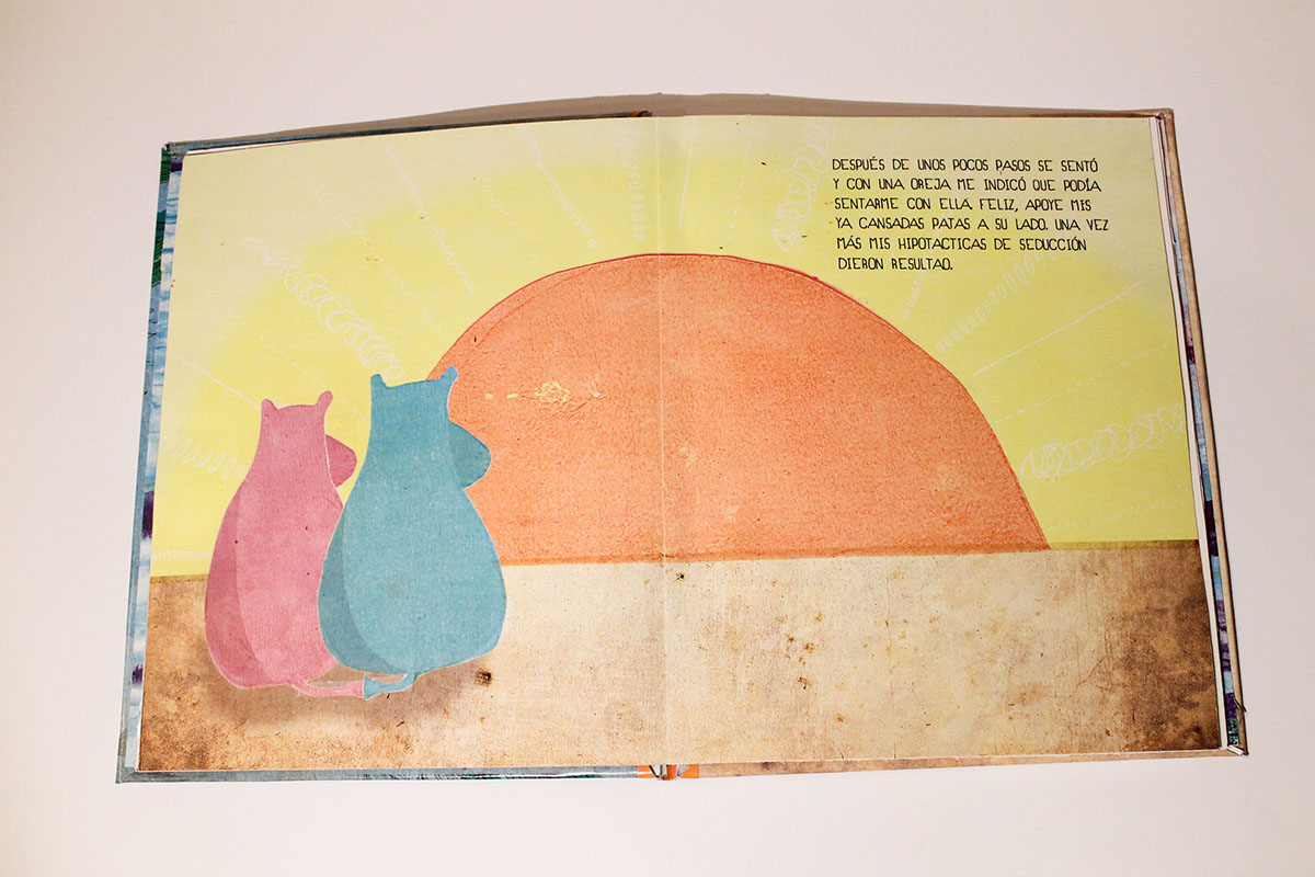 hipopotamos  libro  book Hypo dibujo  collage  infantil children's book  Papel roldan uba fadu
