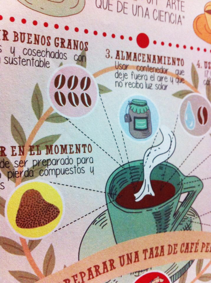 infográfico infographic Coffee cafe Taza de café cup of coffee ecolin