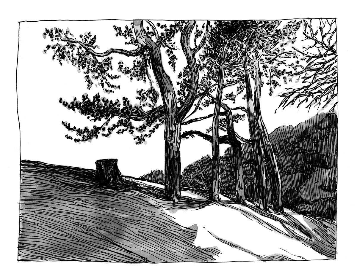 blackandwhite brushpens Drawing  drawings ink inkandbrush inkonpaper Landscape landscapes