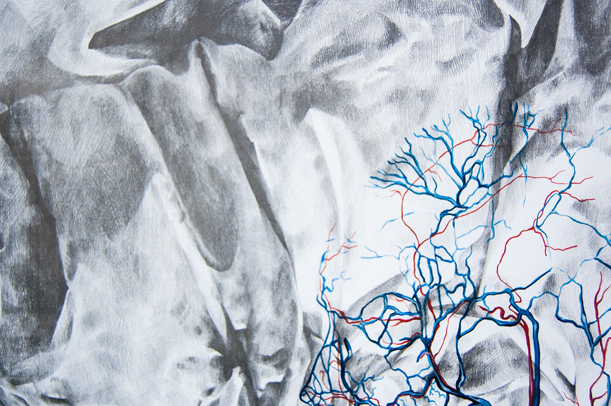 grafito graphite pencil human bones blood veins venas red blue Black&white