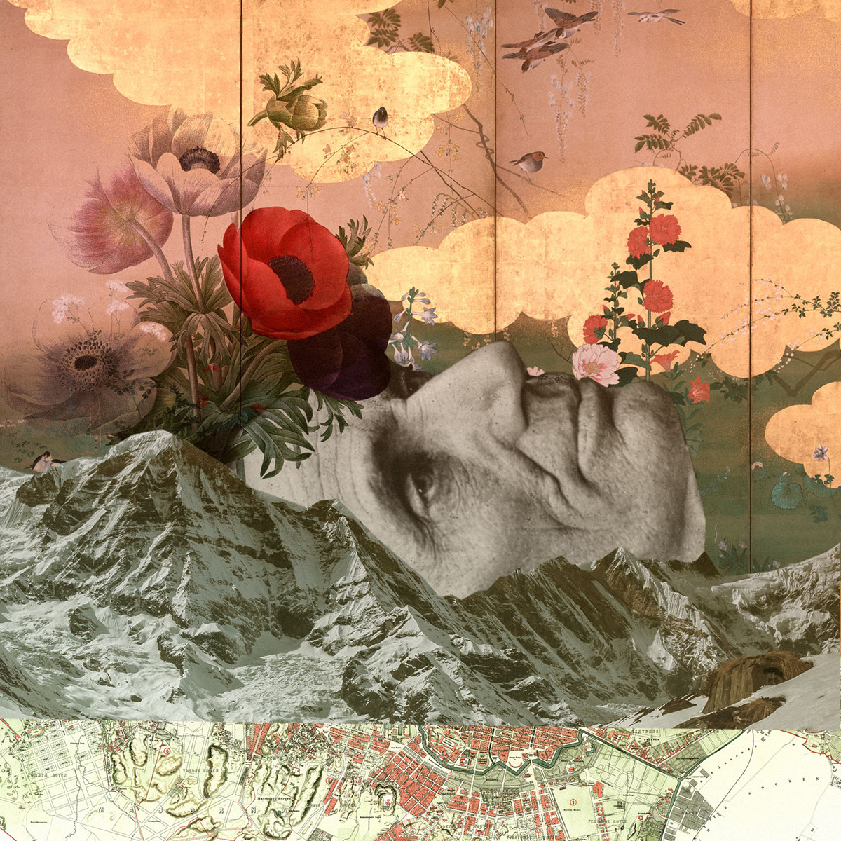 collages collage art 365 projects collage collage design digital art