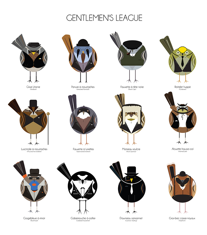 gentlemen birds Gentlemen's Leauge