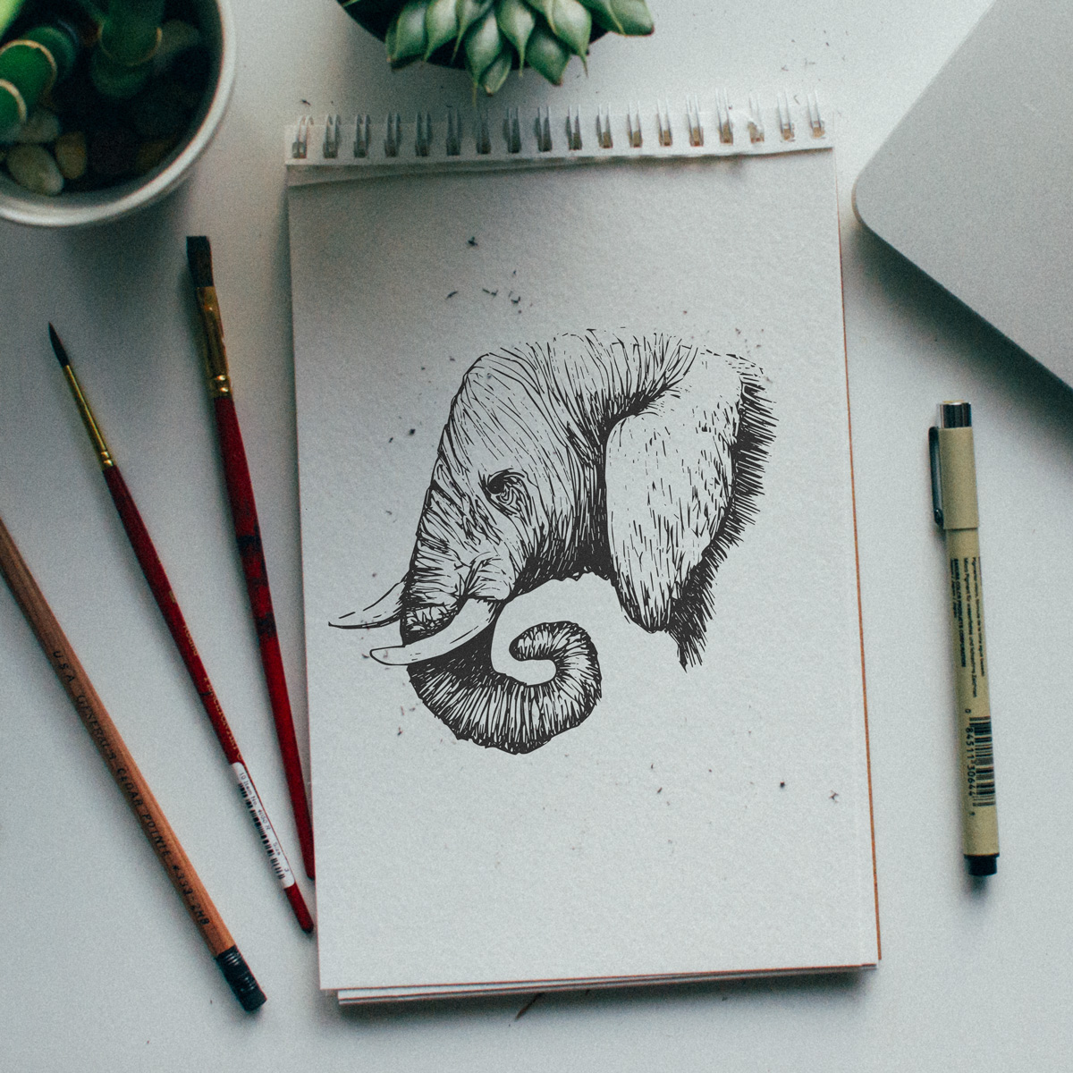 instagram dailydoodle doodle doodle art animals FOX octopus hawk sea turtle sketchbook sketch Salt Lake City utah