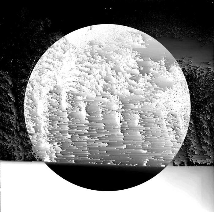 monochrome black and white simple Glitch minimal pixel processing zero Landscape animal