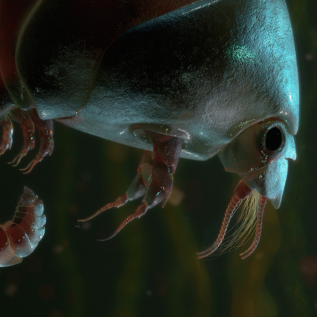 sea creature under the sea shrimp CGI 3D photorealistic