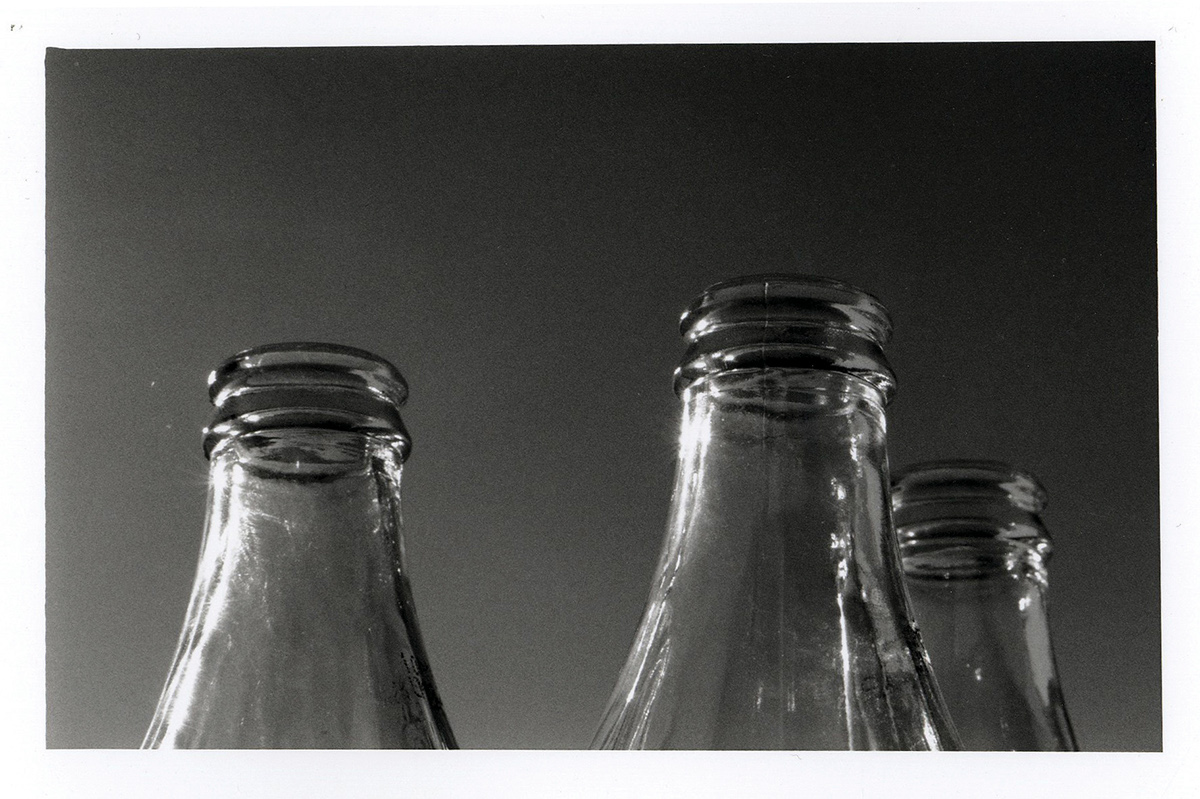 photo analogic analog photography black and white bottles Flowers