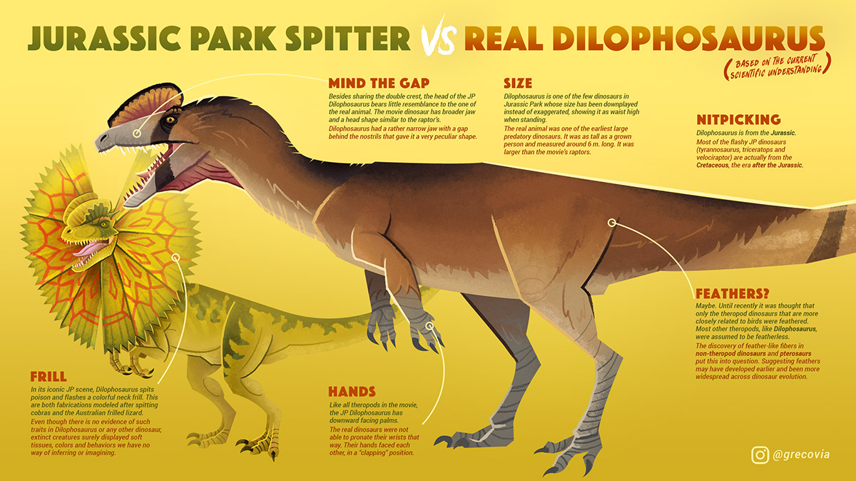 paleoart jurassic park Jurassic World tyrannosaurus dilophosaurs velociraptor deinonychus theropod dinosaurs infographics