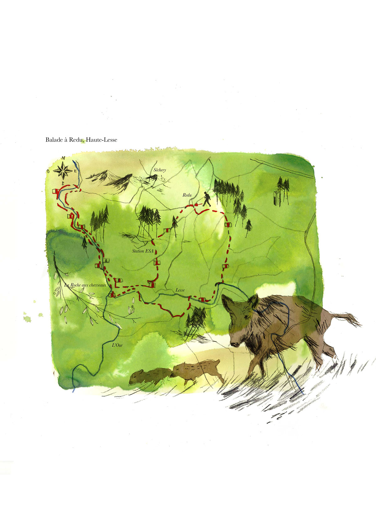 deer forest map belgium walking hiking wild boar wild green ink pencil woods