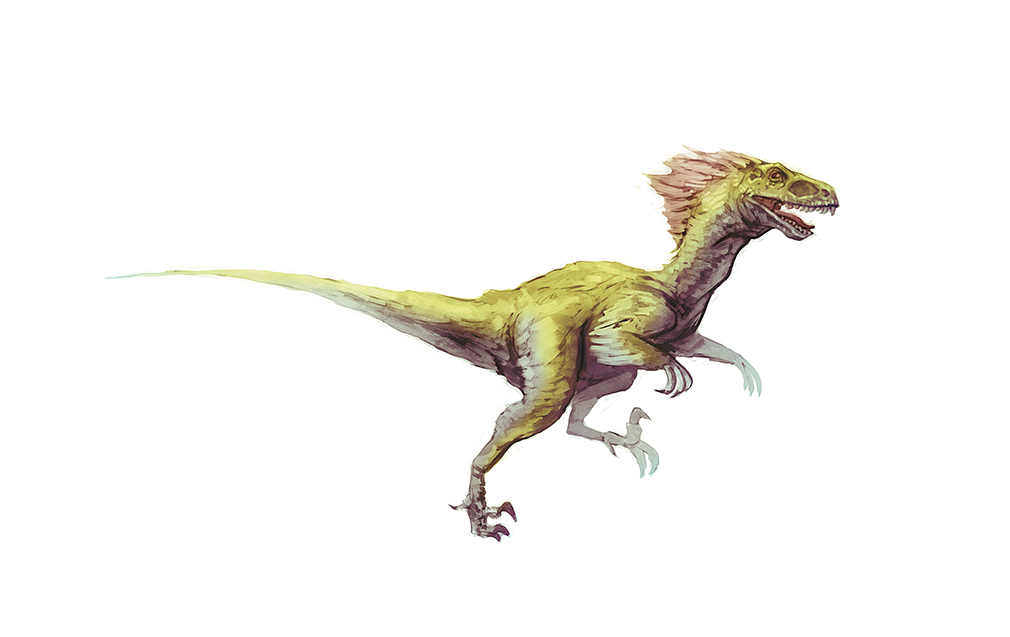 Dinosaur infography infographic t-rex raptor lizard reptile Nature animals jurassic