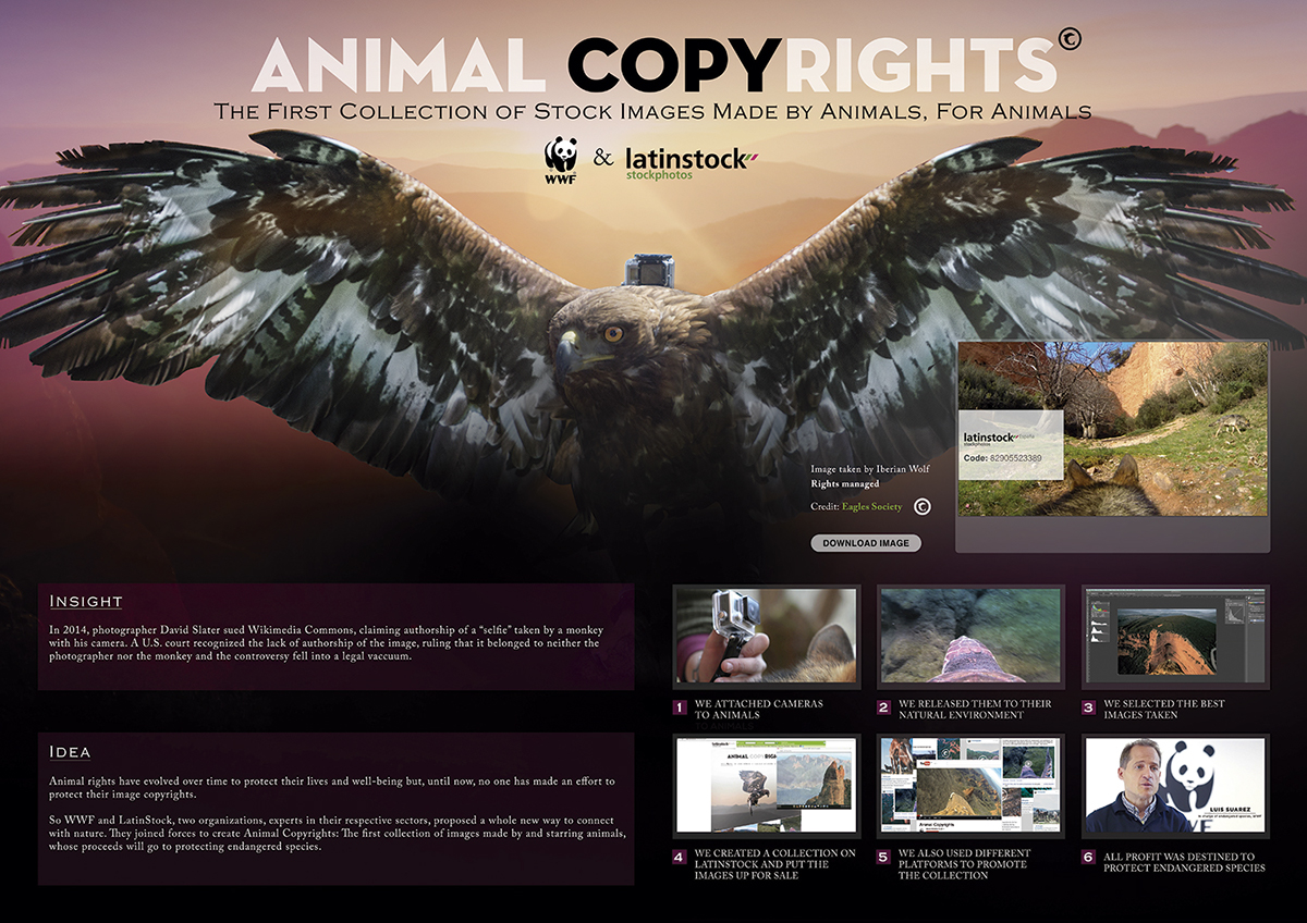Animal Copyrights on Behance