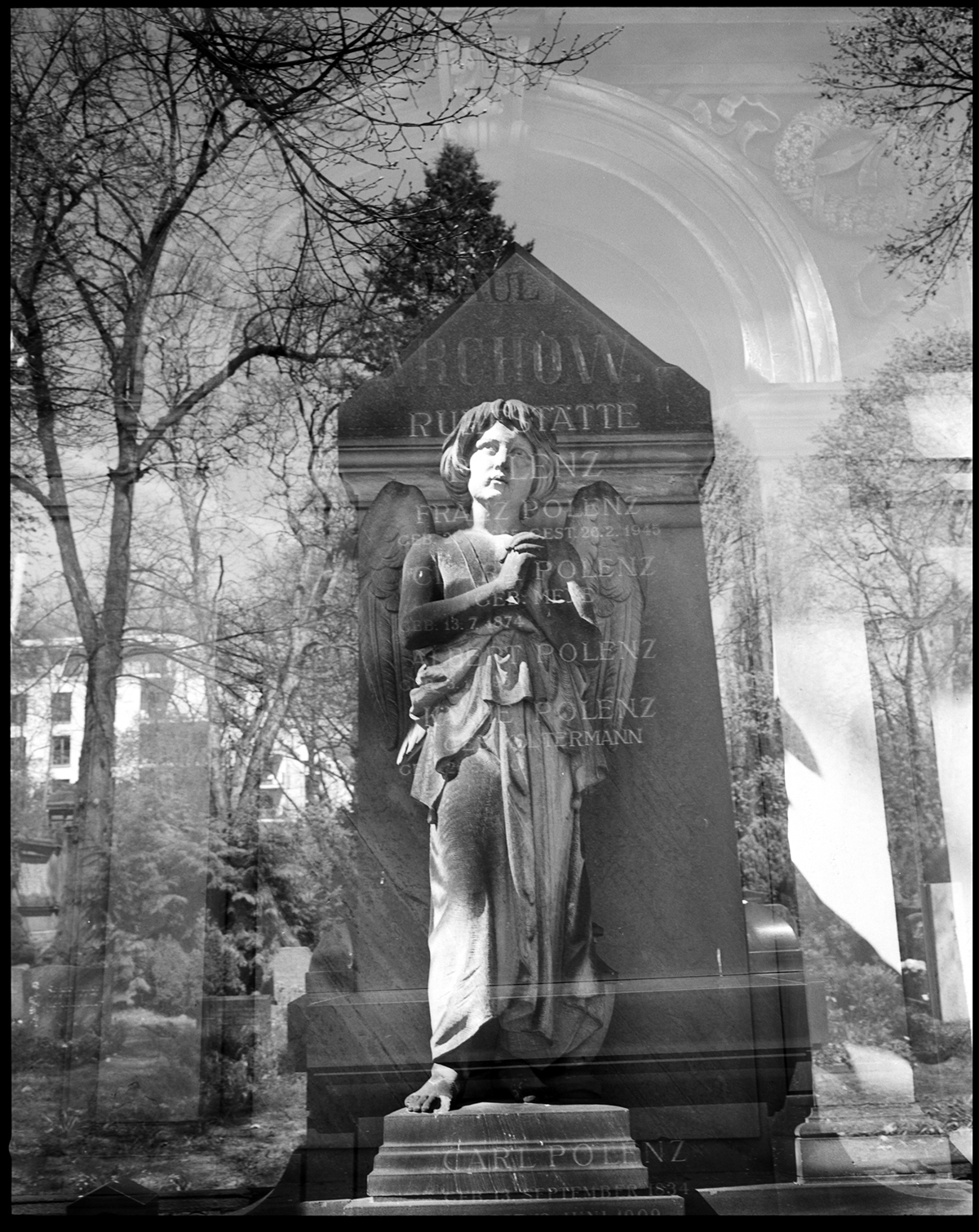 cemetery berlin double exposure black & white negative creative analog Analogue camera Mamiya Nature friedhof walk Tree  statues