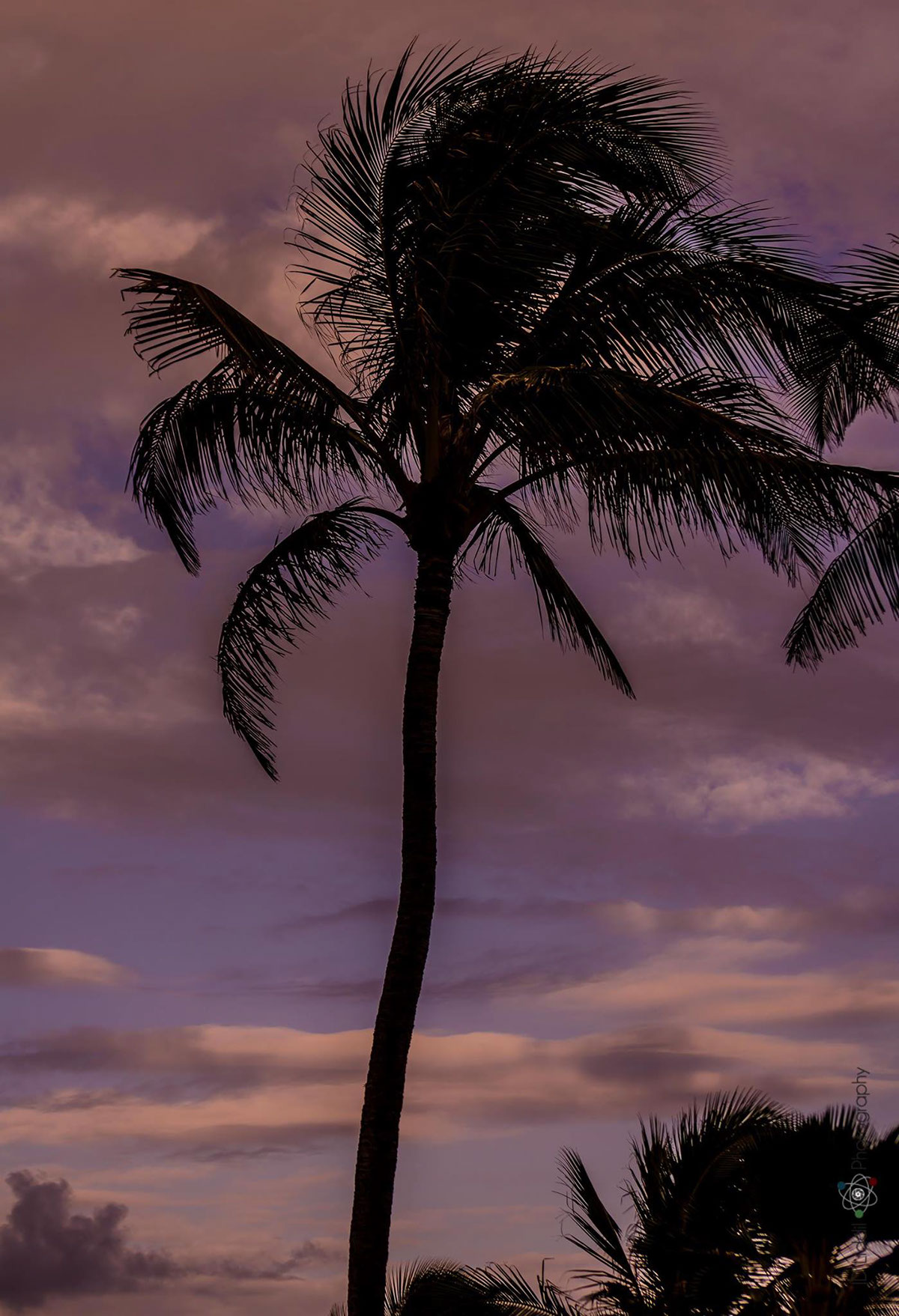 Adobe Portfolio Photography  Travel Landscape HAWAII Ocean Sunrise sunset