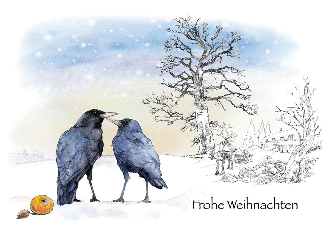 Christmas Santa Claus fairy tale winter robin