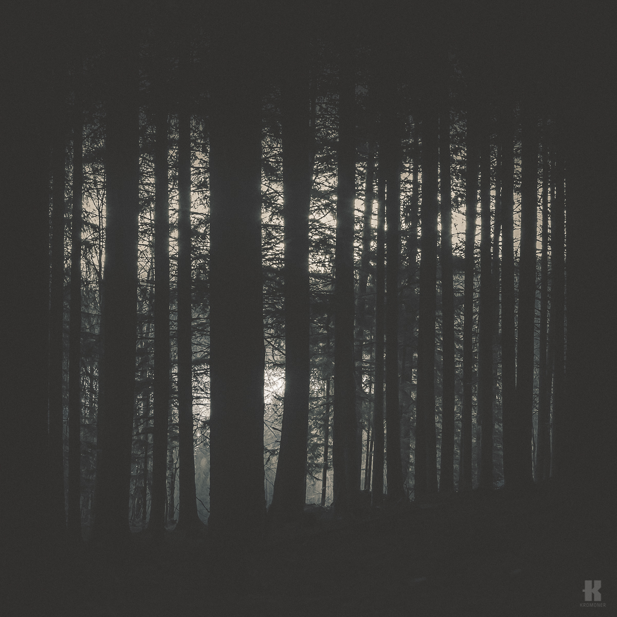 Kromoner art design Style minimal dark Nature mood atmosphere solitude quiet silent forest trees austria