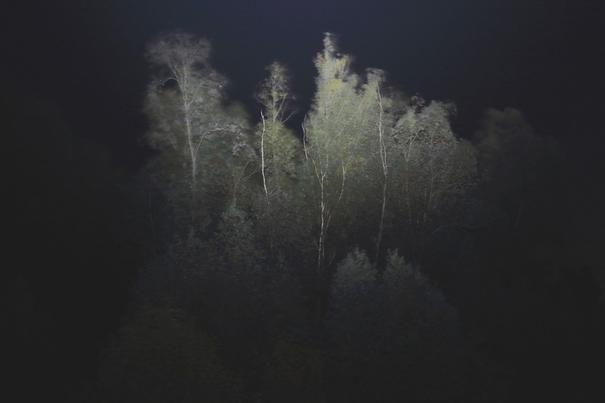 dark landscape lietuva Lightmares lithuania Memelland Mindaugas Buivydas trees