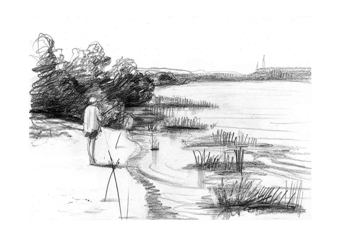 river, reeds on the shore