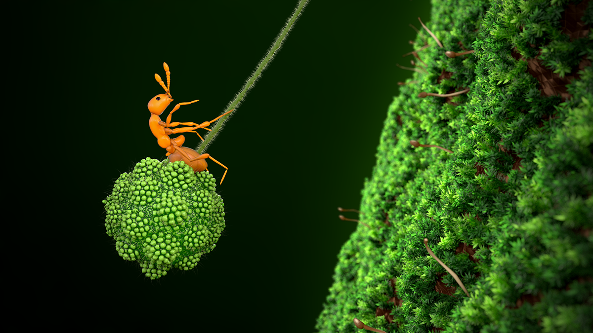 ant Nature texture octane c4d cute scenery macro CGI insect