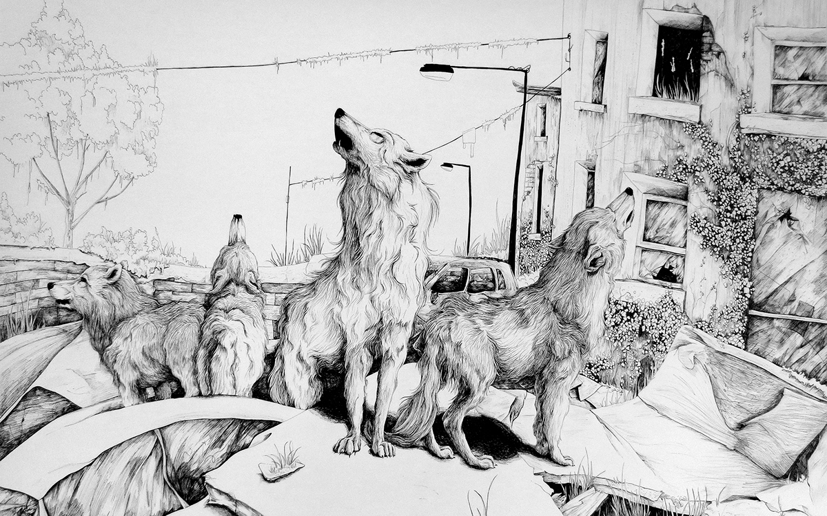 Post Apocolyptic feral wolves Urban Dystopia drawings pen large scale city Cars ruin abandon hopelessness fear anxiety