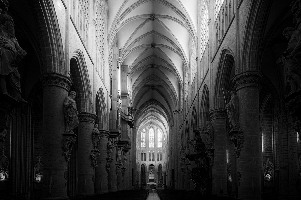 architecture belgium black and white bruxelles city monochrome Photography  street photography Travel Urban