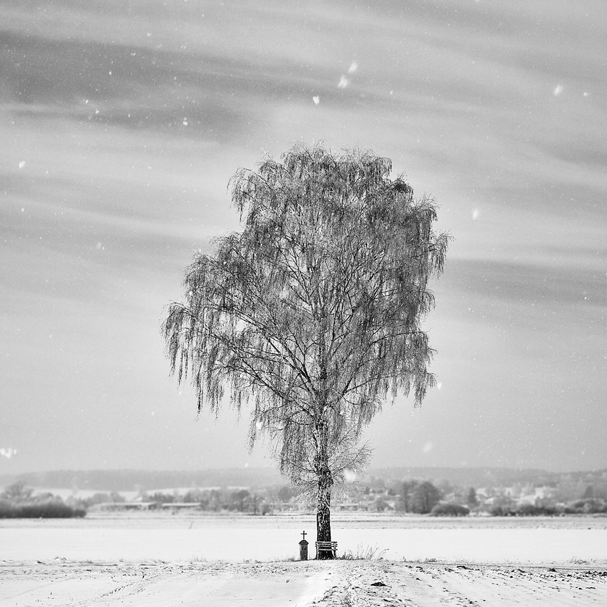 Landscape Nature winter snow bw black and white jörg marx