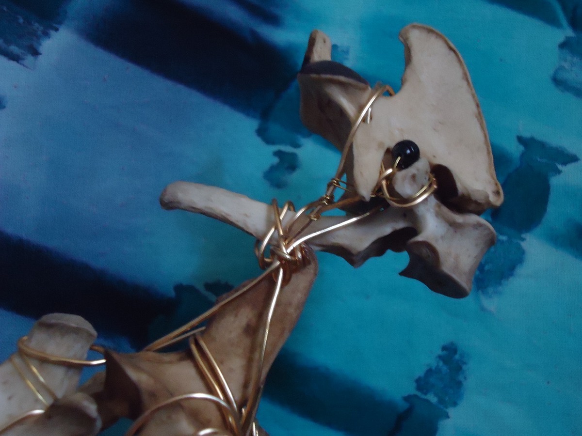 curio curio cabinet bone bizarre strange props skull animal