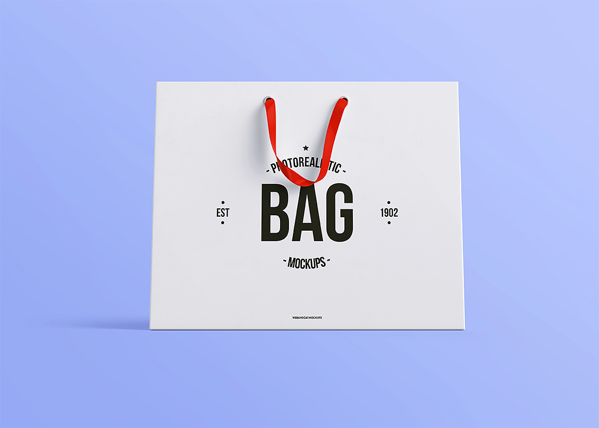 bag Shopping paper branding  Clothing Fashion  Mockup psd free template