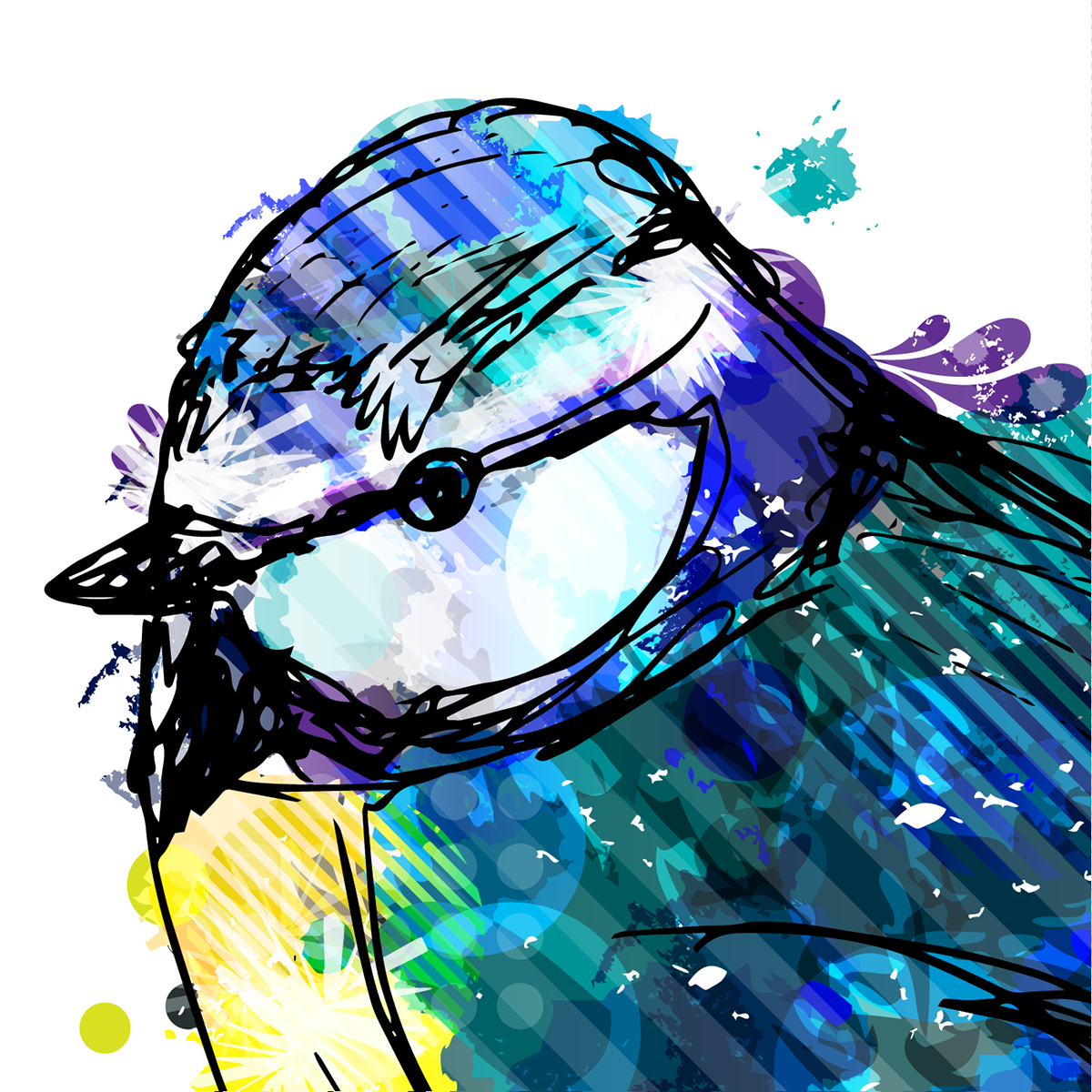 birds owl Blue Tit robin bird splatter