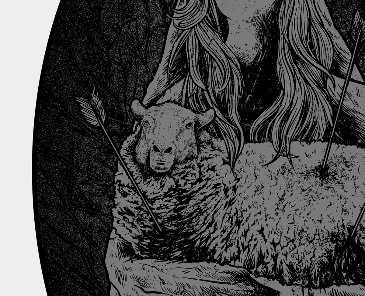 pathmus artwork draw handdraw grace her sheep lines