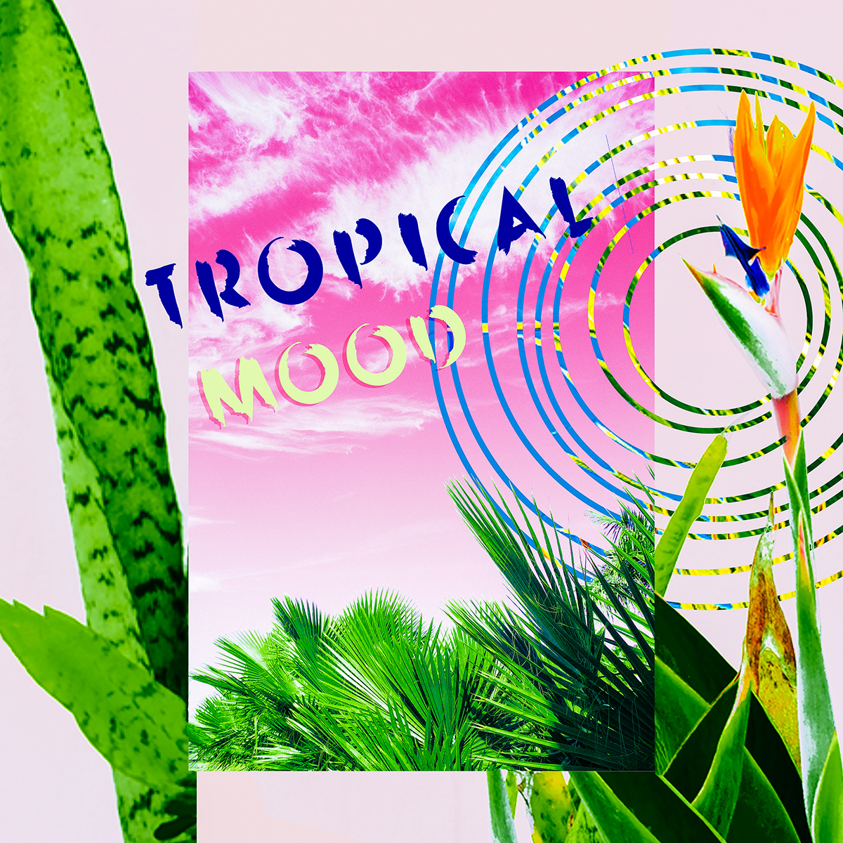 minimal Plant plantsonpink tropic tropicalprint Style Modernart GreenGarden plantlover graphicdesign