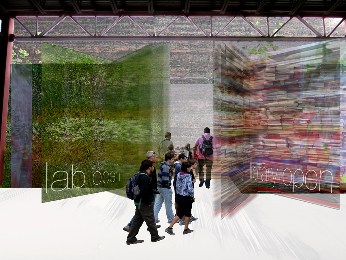 Adobe Portfolio greenmarket SENSORY sensory shift icehouse Baltimore maryland color texture blooming baskets Canopies translucency