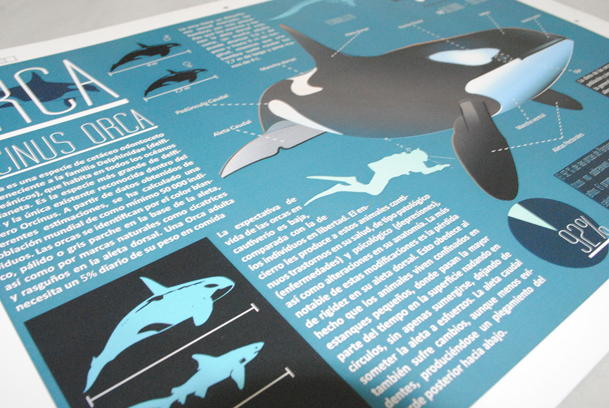 print science Whale digital