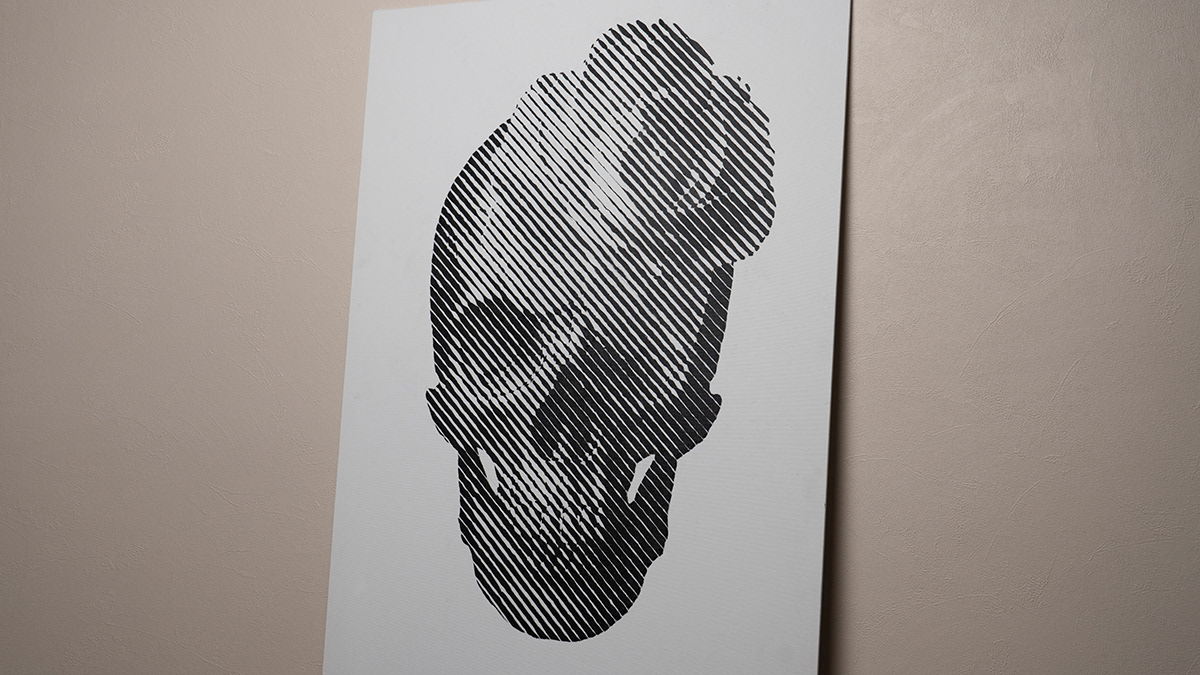 art black bw canvas geometric line skull skullart wall White