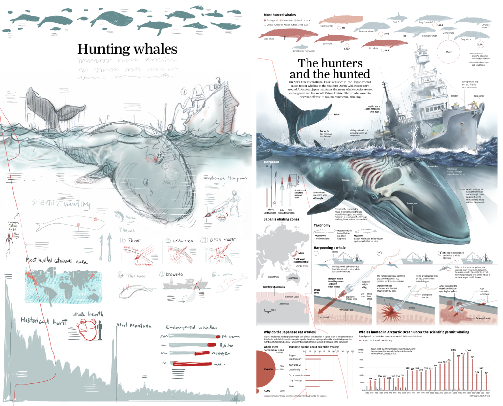 infographic infographics infografia sketch Rough Sketch boceto visual explanation