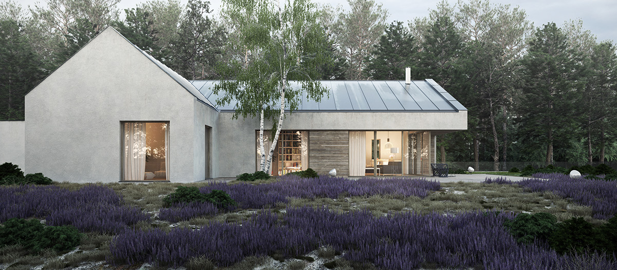 Adobe Portfolio heath architectural visualization forest single-family house