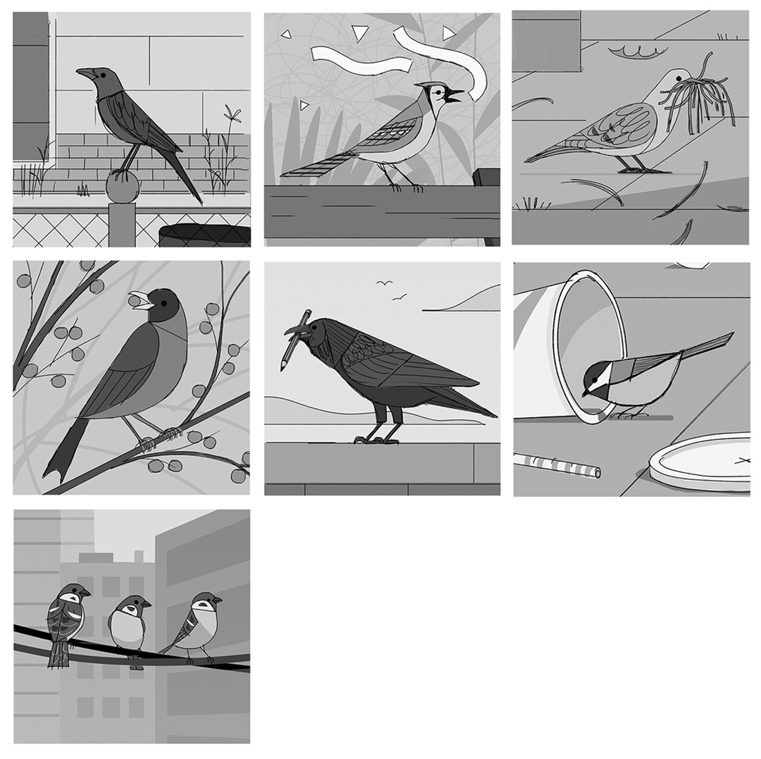 animal bird editorial Nature observation
