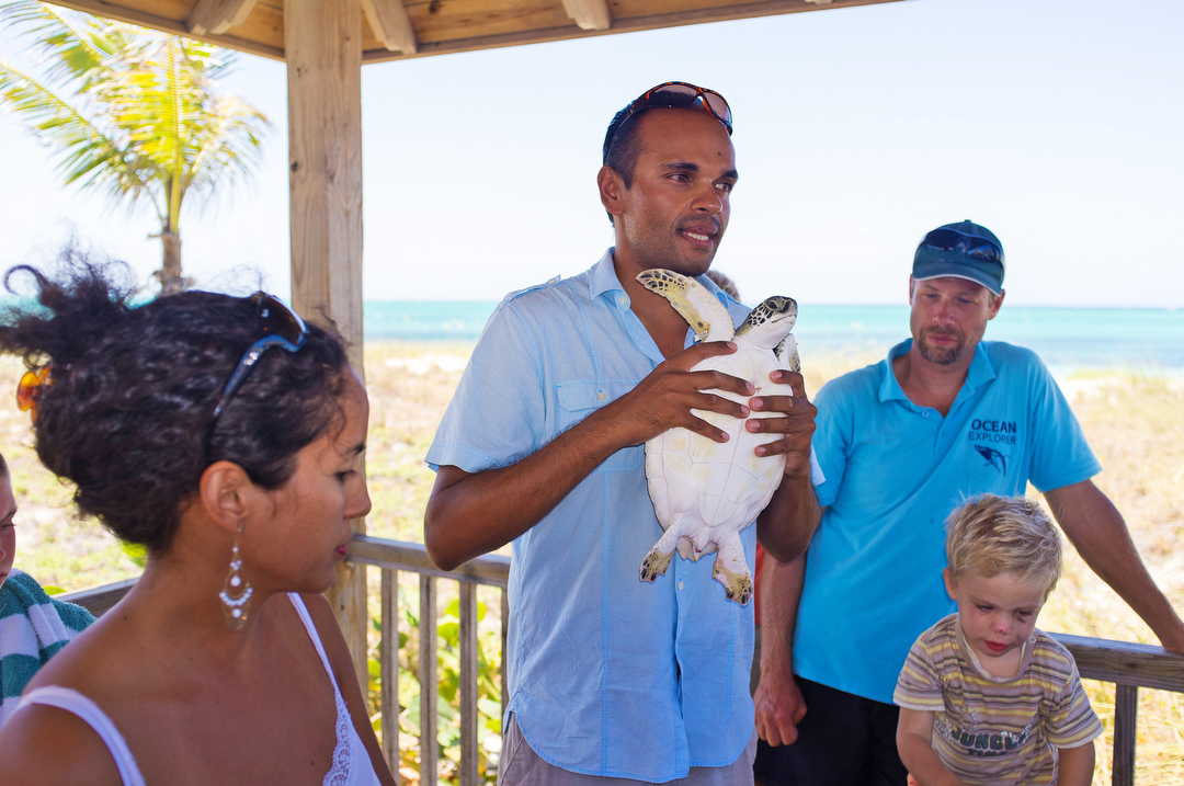 Ecology Nature conservation turks and caicos