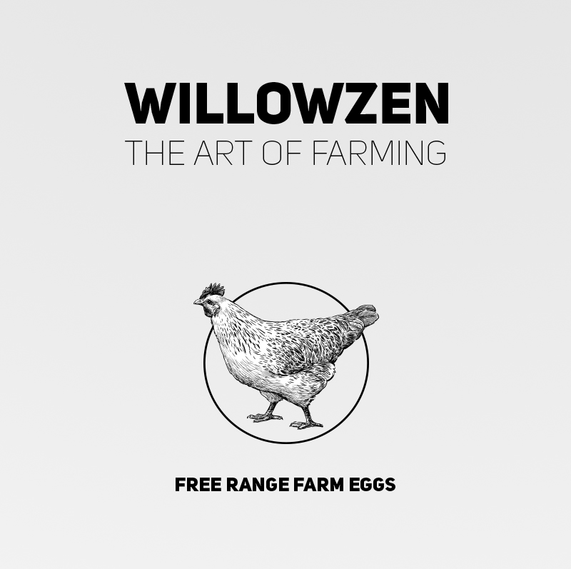 Willowzen free farm eggs package design carton organic Food  Gerardo najar tijuana mexico chicken meal breakfast