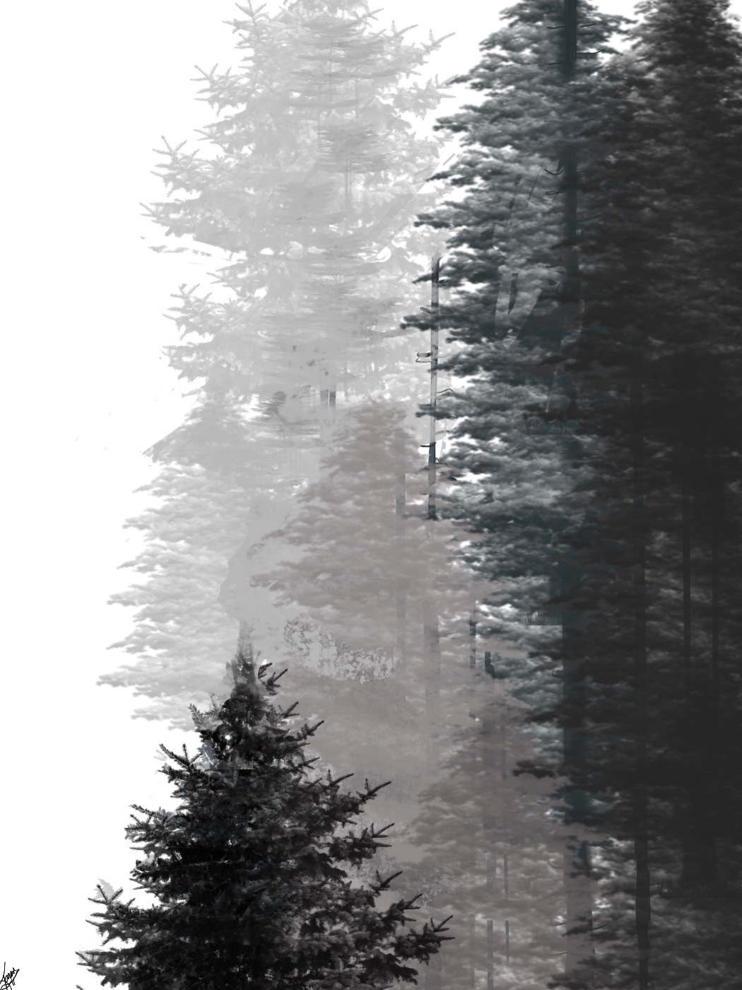 Digital Art  digital painting Drawing  forest trees woods