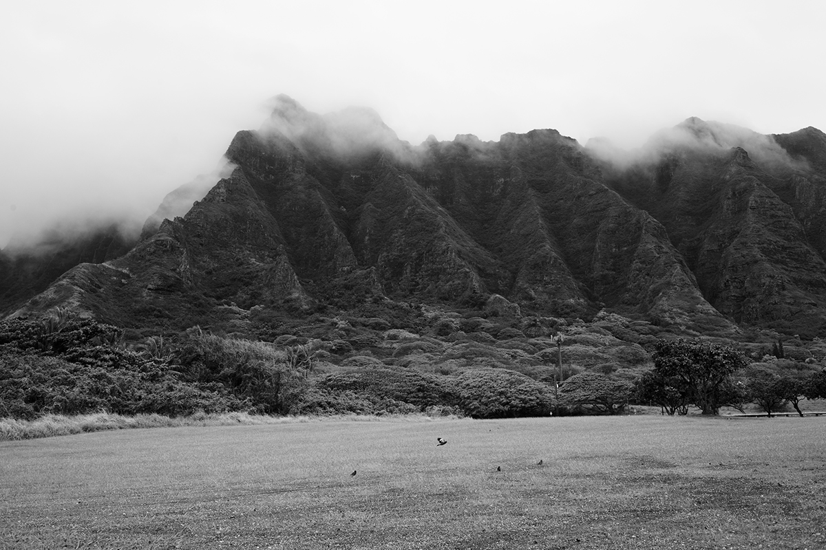 HAWAII oahu kpmg Nature Landscape black and white culture Travel wildlife digital 35mm commission