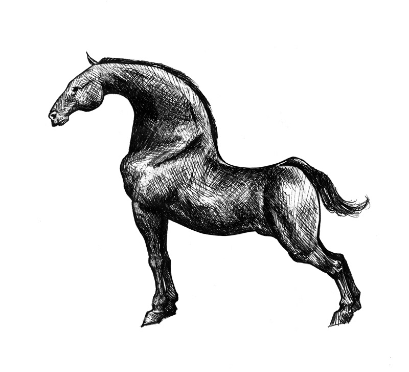 horse black White nikos tsounakas Beautiful running standing walking legs pen Needle point ink stallion hair