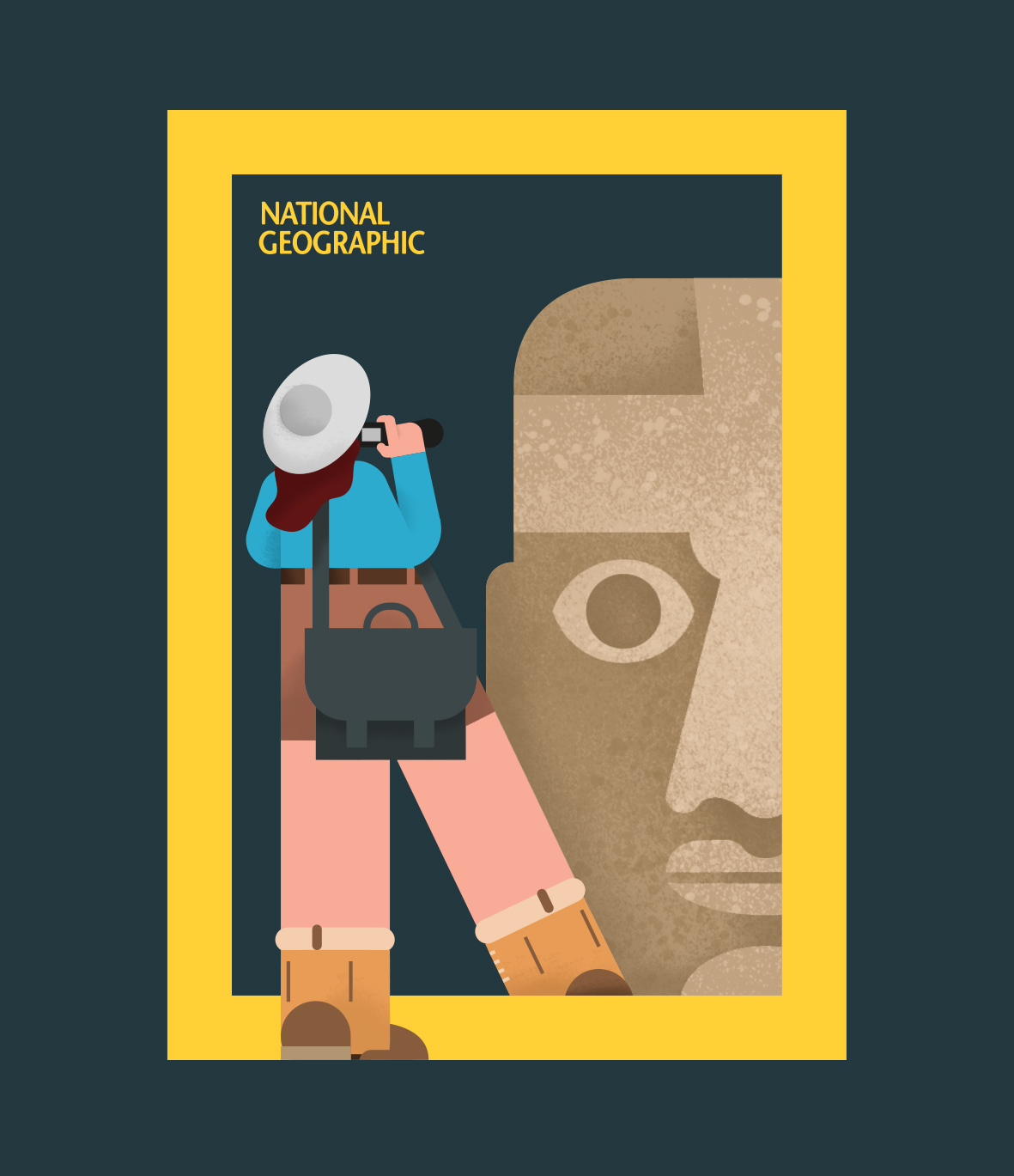 national geographic posters ILLUSTRATION  minimal vector colors animals discovery editorial