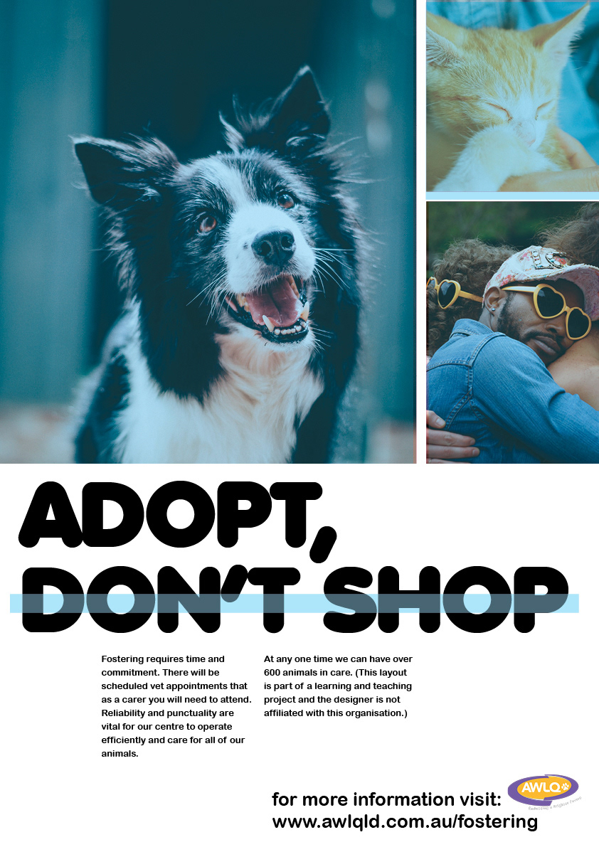 Animal Welfare Posters (week 6) on Behance
